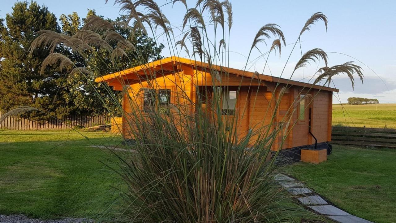 טיין Canterra Cottage מראה חיצוני תמונה